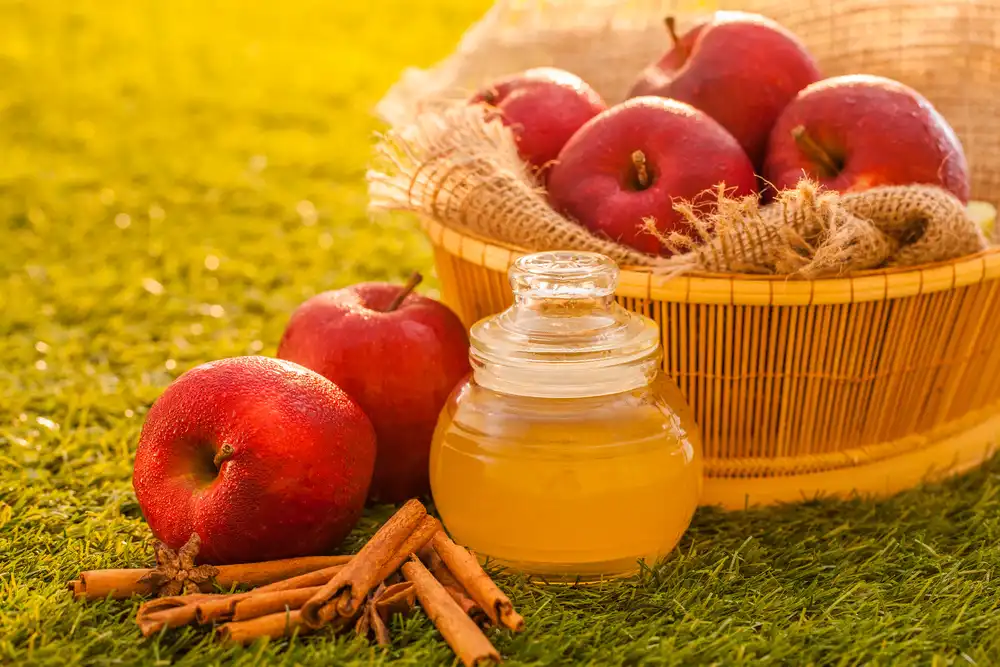 What is the Benefit of Apple Cider Powder?